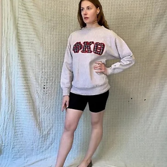 Vtg 90s Champion Reverse Weave Phi Kappa Theta Sorority Fraternity Sweatshirt L - Picture 3 of 15